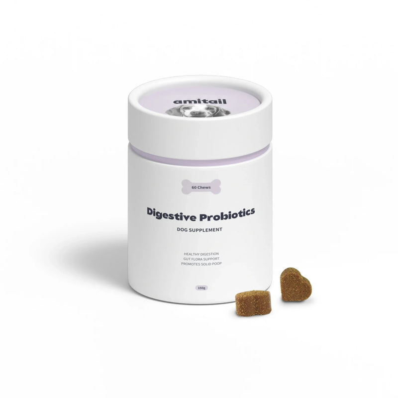 Digestive Probiotics Supplement