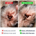 Ear Cleaner