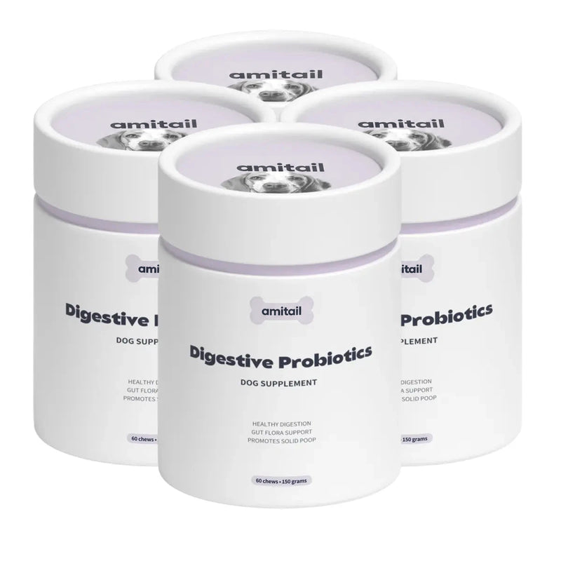 Digestive Probiotics Supplement