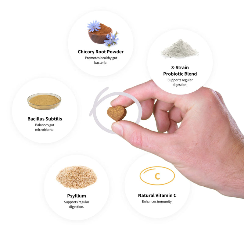 Digestive Probiotics Supplement