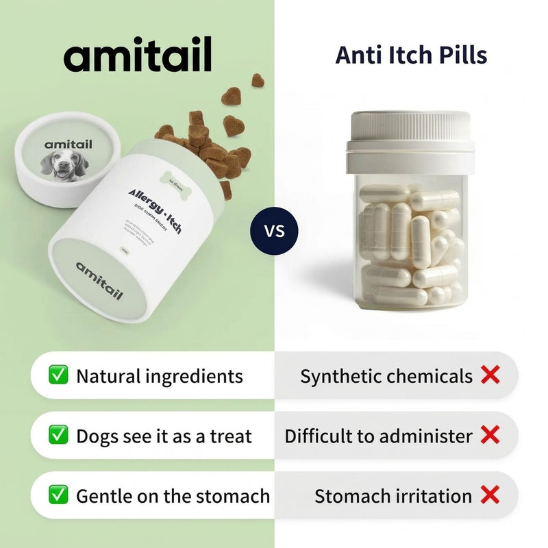 Allergy & Itch Supplement