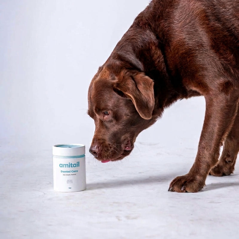 Dental Care Powder