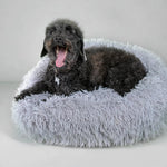 Calming Bed for Dogs