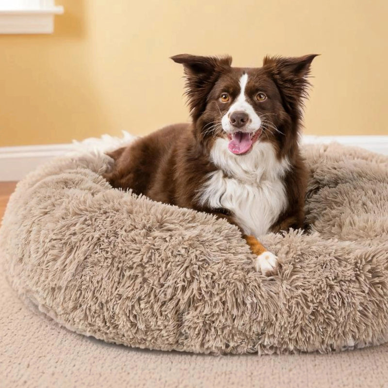 Calming Bed for Dogs