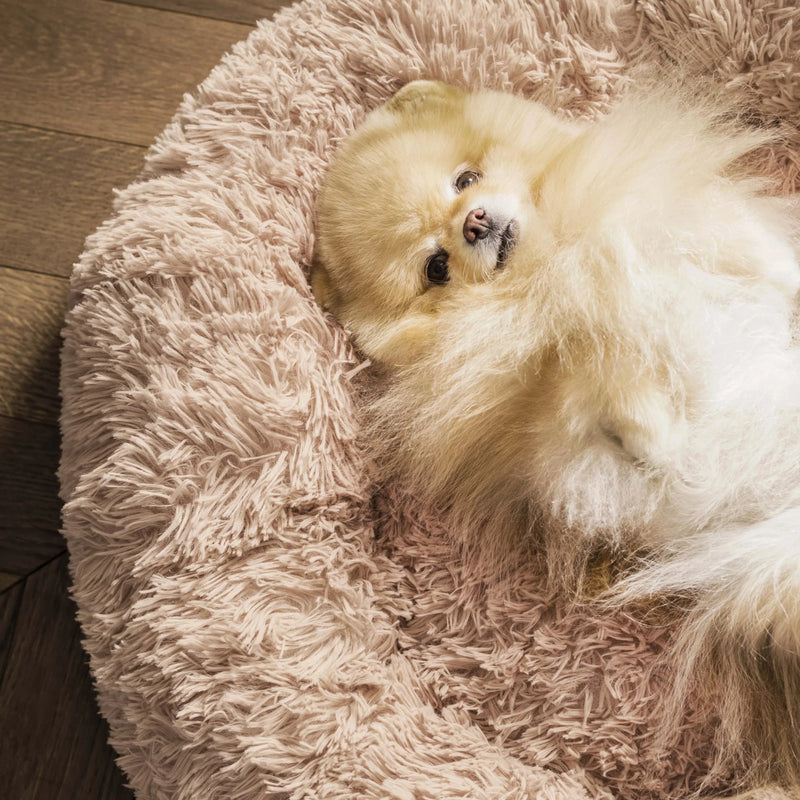 Calming Bed for Dogs