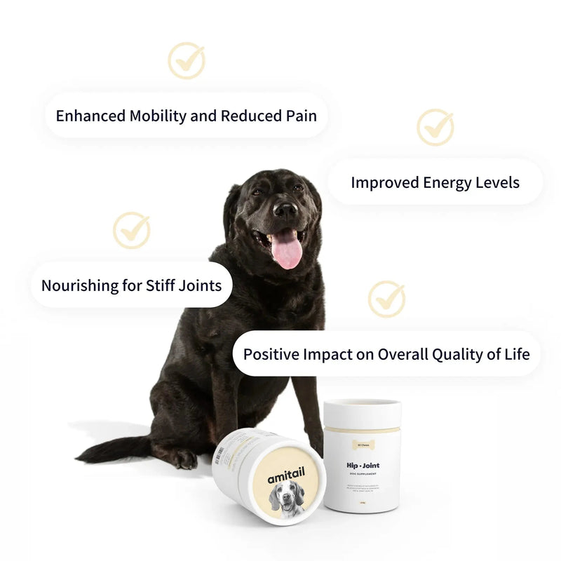 Hip & Joint Supplement