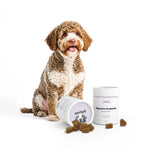 Digestive Probiotics Supplement