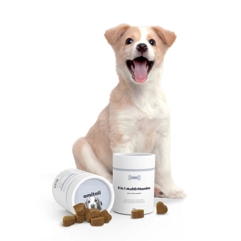 8-in-1 Multivitamins Supplement