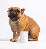 Hip & Joint Supplement
