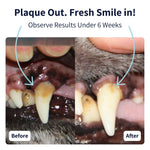 Dental Care Powder