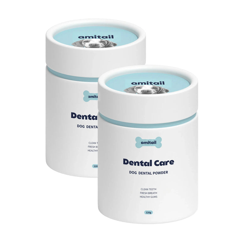 Dental Care Powder