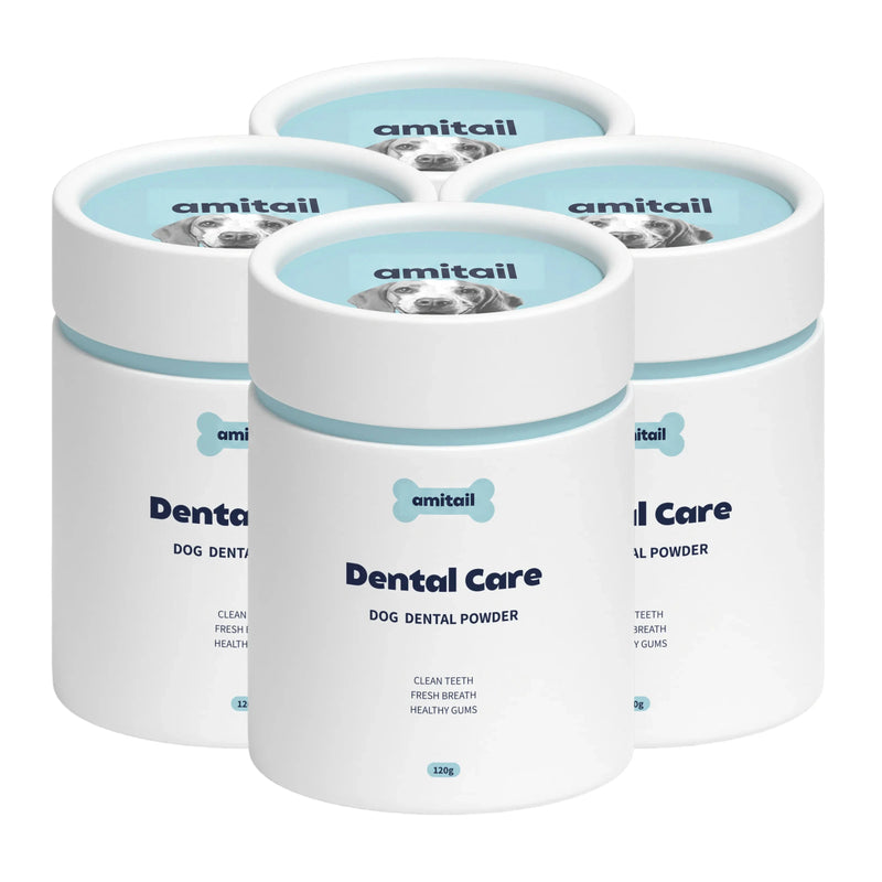 Dental Care Powder