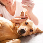 Ear Cleaner