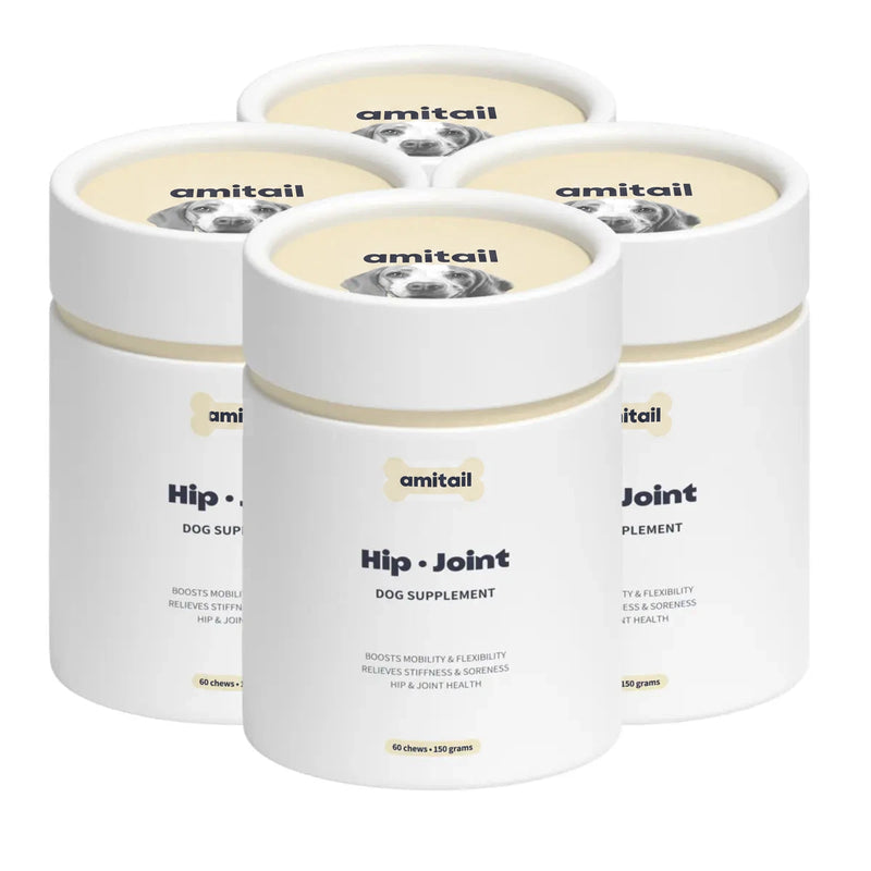 Hip & Joint Supplement