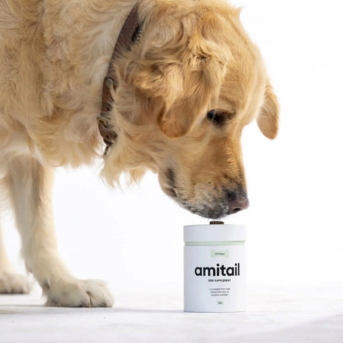 Allergy & Itch Supplement
