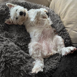 Calming Bed for Dogs