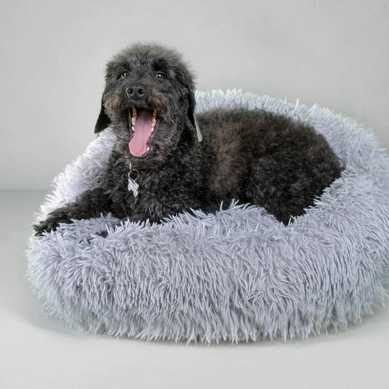 Calming Bed for Dogs