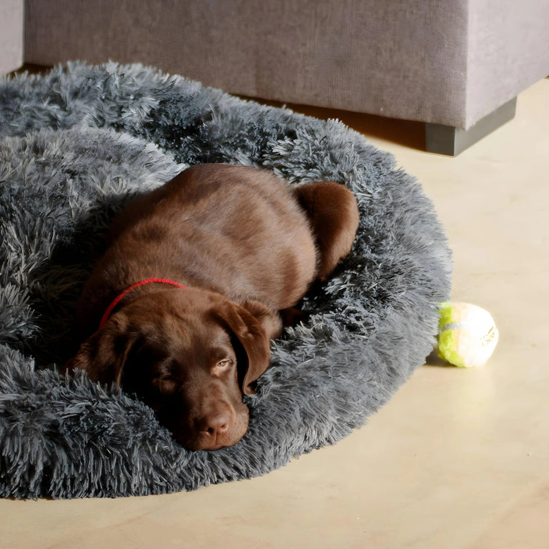 Calming Bed for Dogs