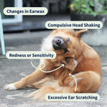 Ear Cleaner