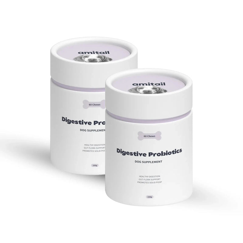Digestive Probiotics Supplement