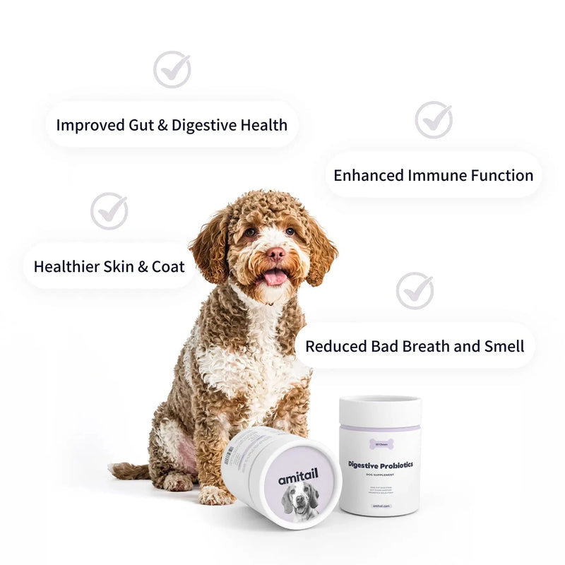 Digestive Probiotics Supplement